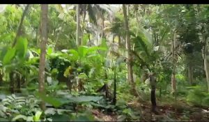 Total Property Area 40 acers Property Type For Sale Property Description As dis20+20 2 land parcels are available near Adhani sea port with NH 66 frontage. Nearby Landmark Near Trivandrum Port. (30km radious) Distance To Vizhinjam Port 4